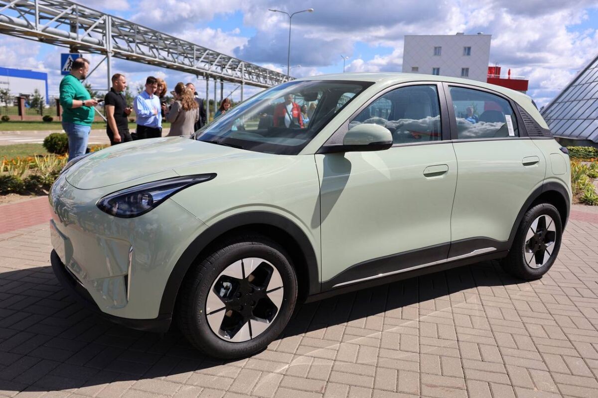 belgee novoe 08 2025 01