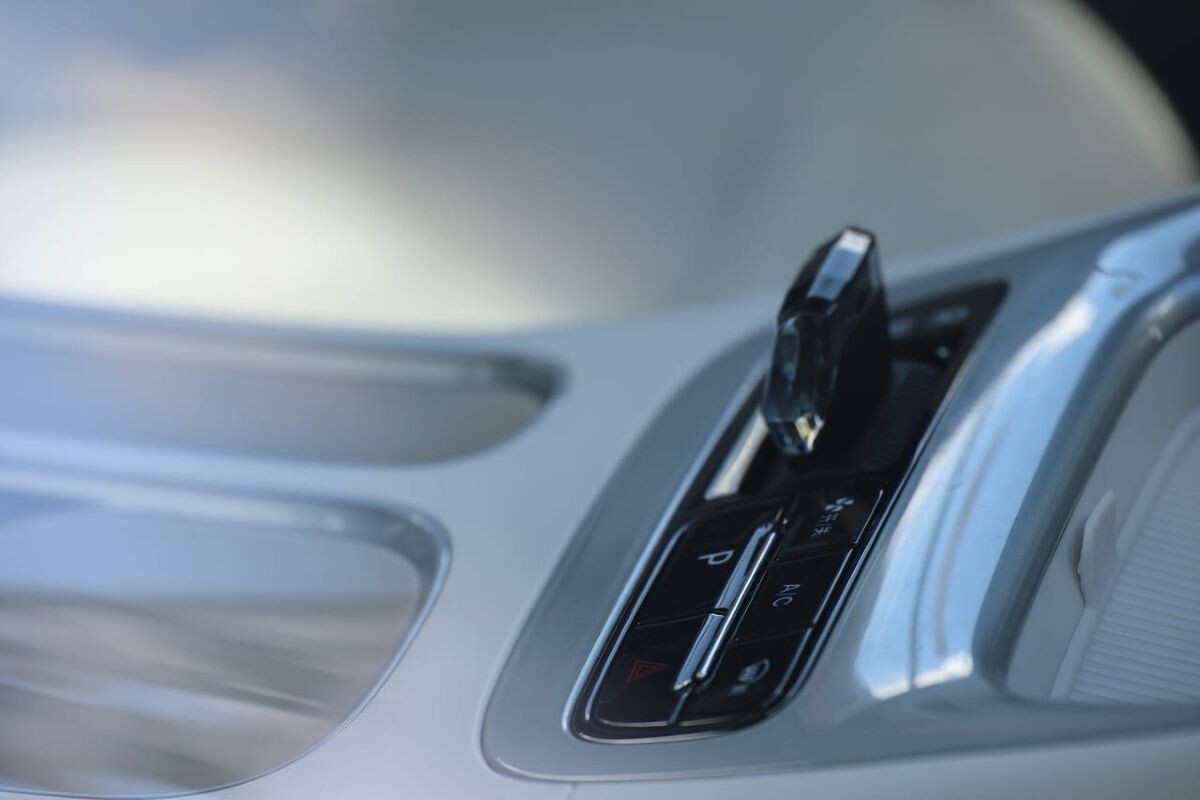 belgee novoe 08 2025 01