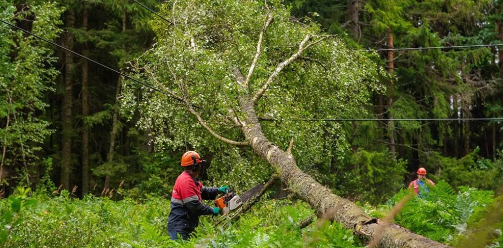 oranzh uroven op 10 08 02