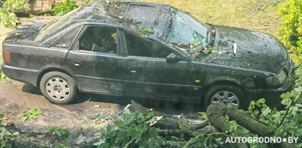 oranzh uroven op 10 08 02