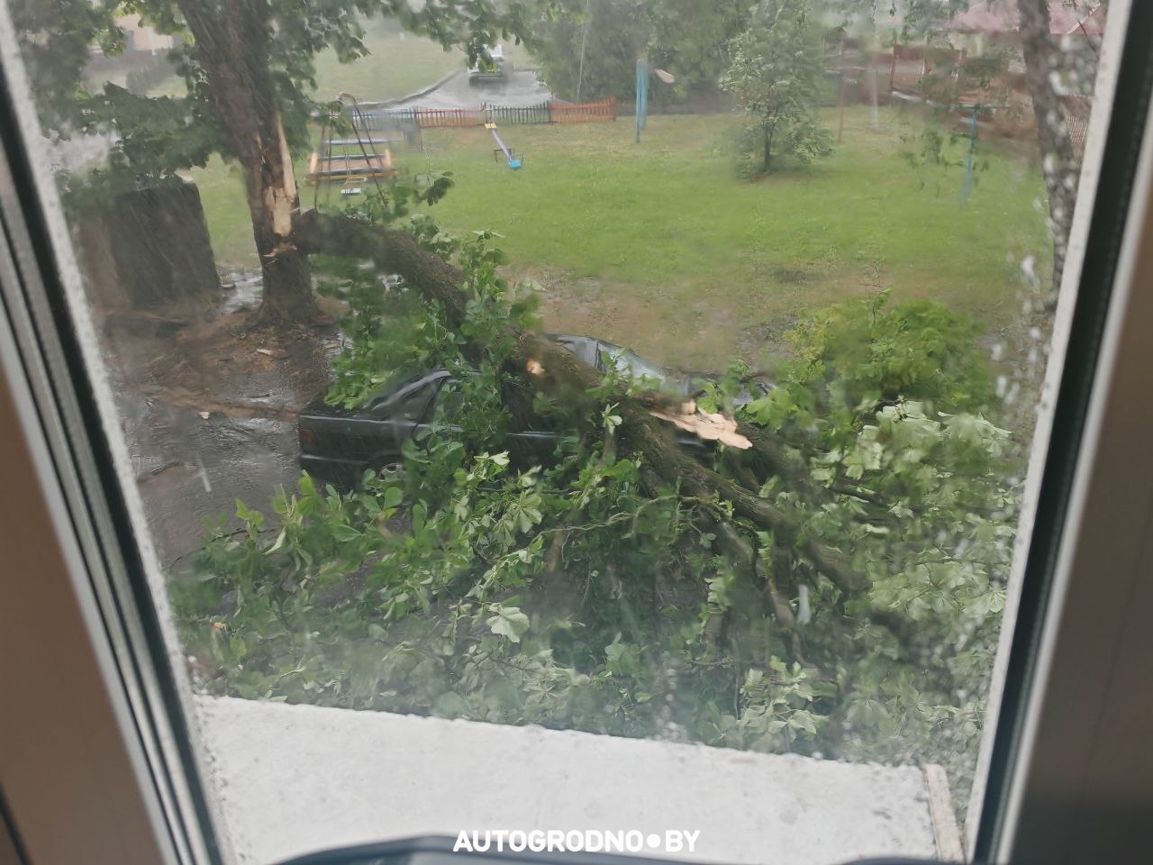 oranzh uroven op 10 08 02