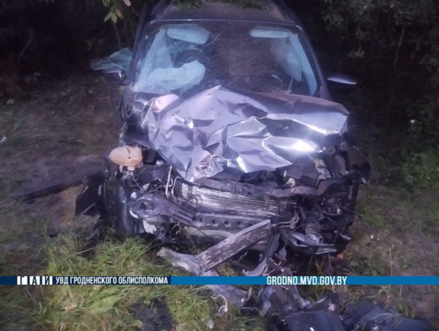 shchuchin seat 16 08 01