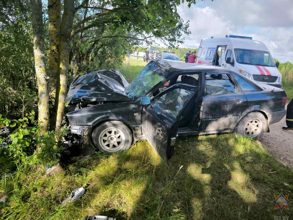 smorgon mchs 12 08 01