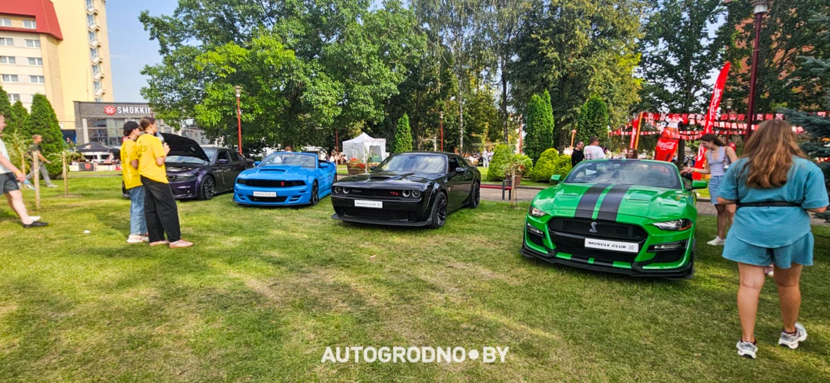 Тачки пинки фестиваль Лида 2025