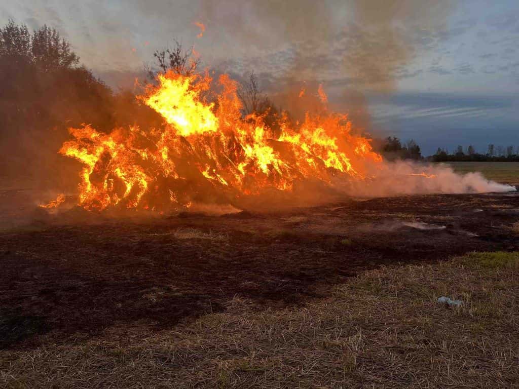 pozhary 22 09 03 min