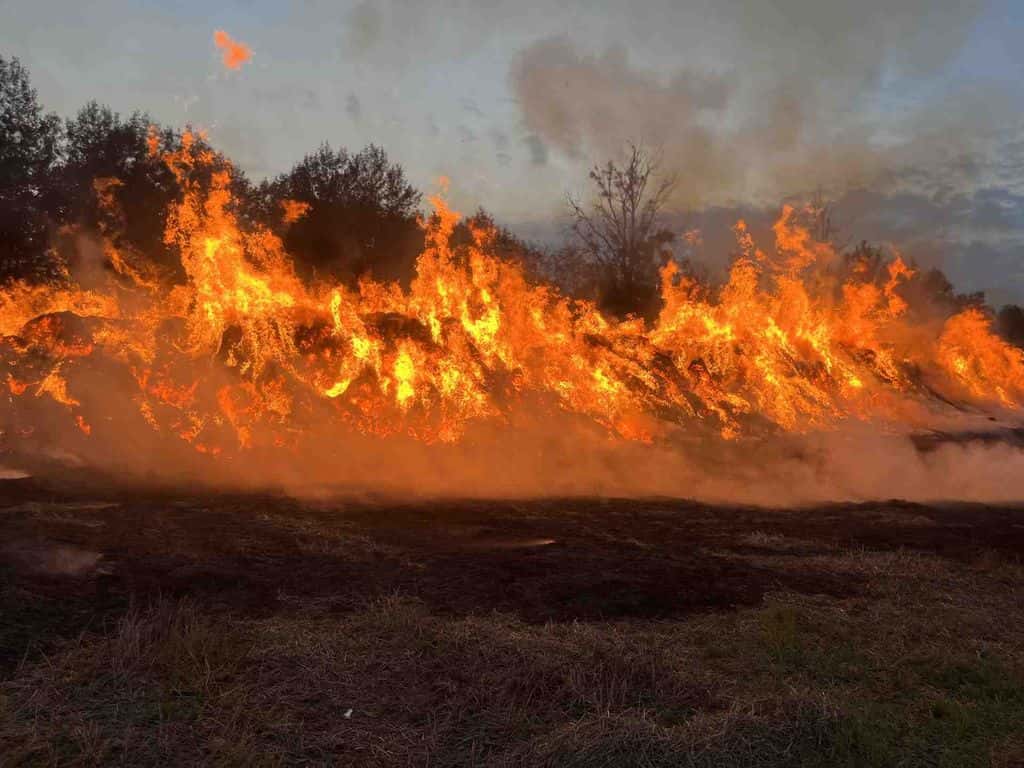 pozhary 22 09 03 min