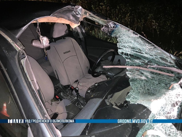 smorgon los 27 09 25 01