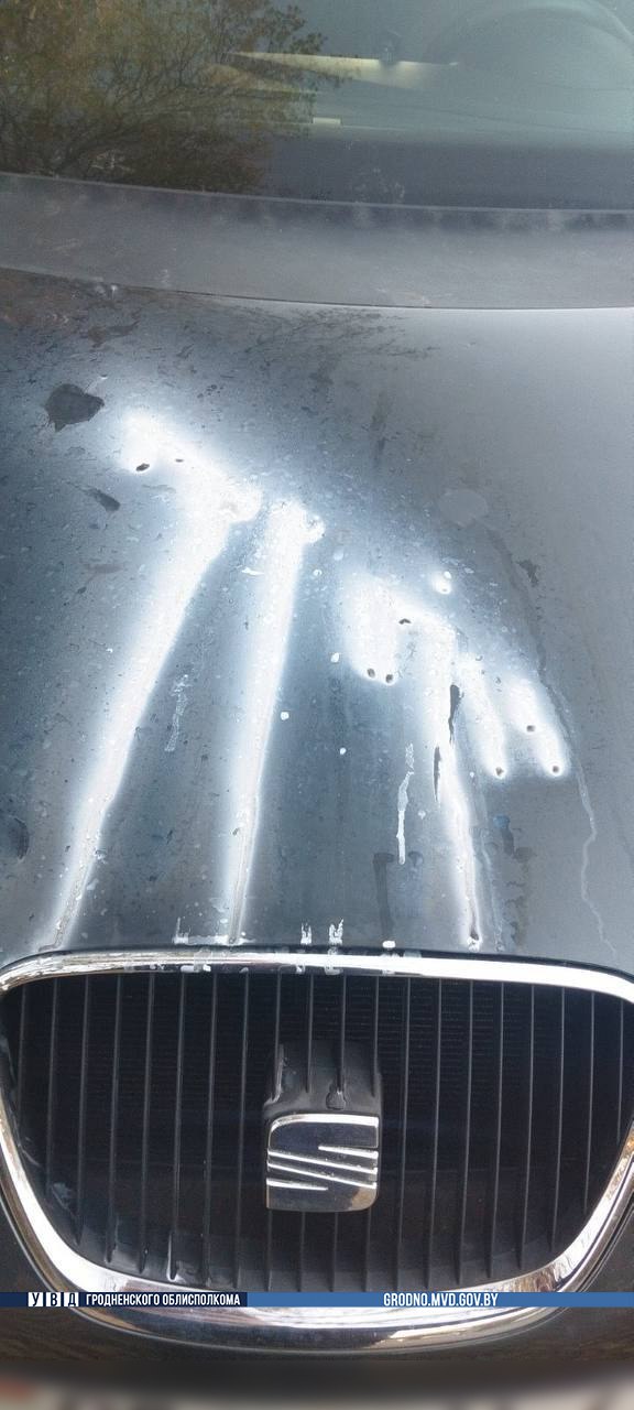 stoitelej klej huligan 01