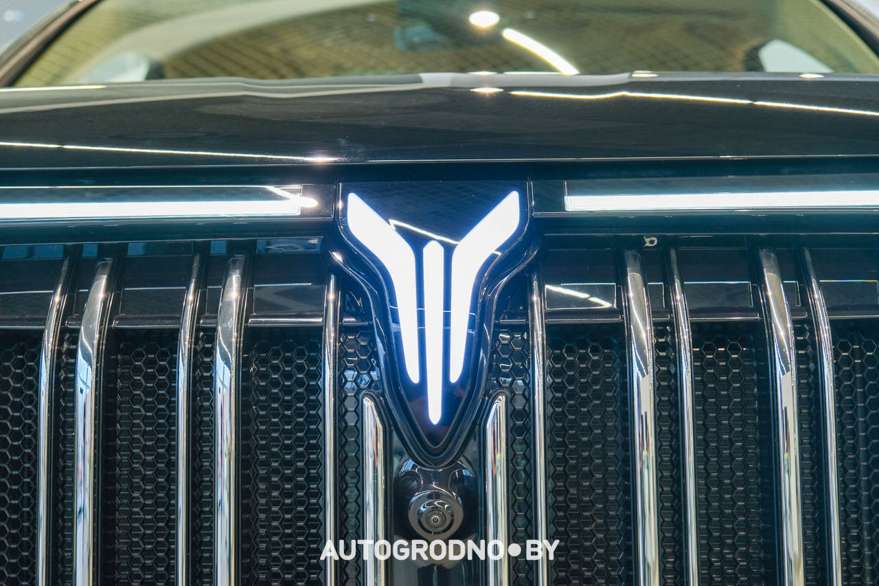 Voyah Dream цена обзор Беларусь Гродно