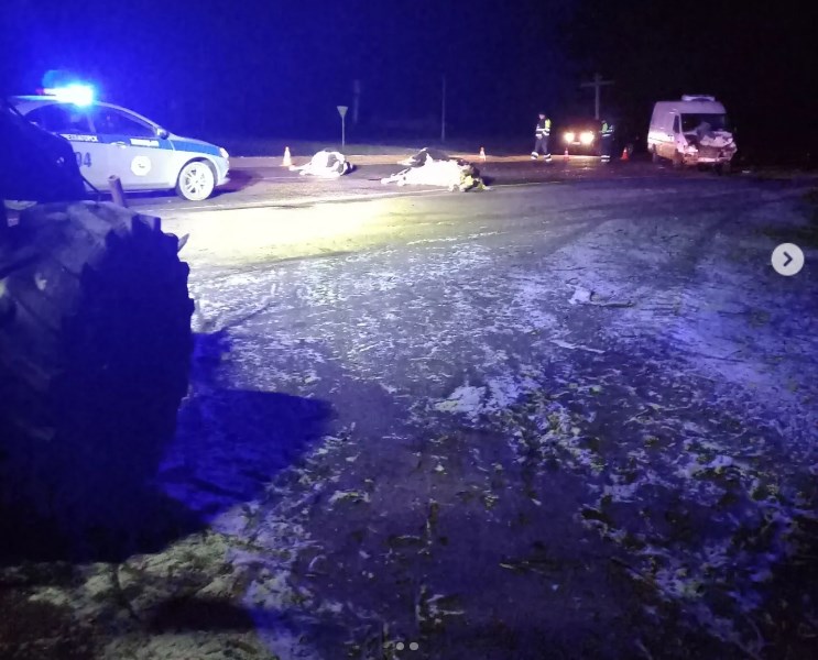 kozlovka korovy 25 02 25 01