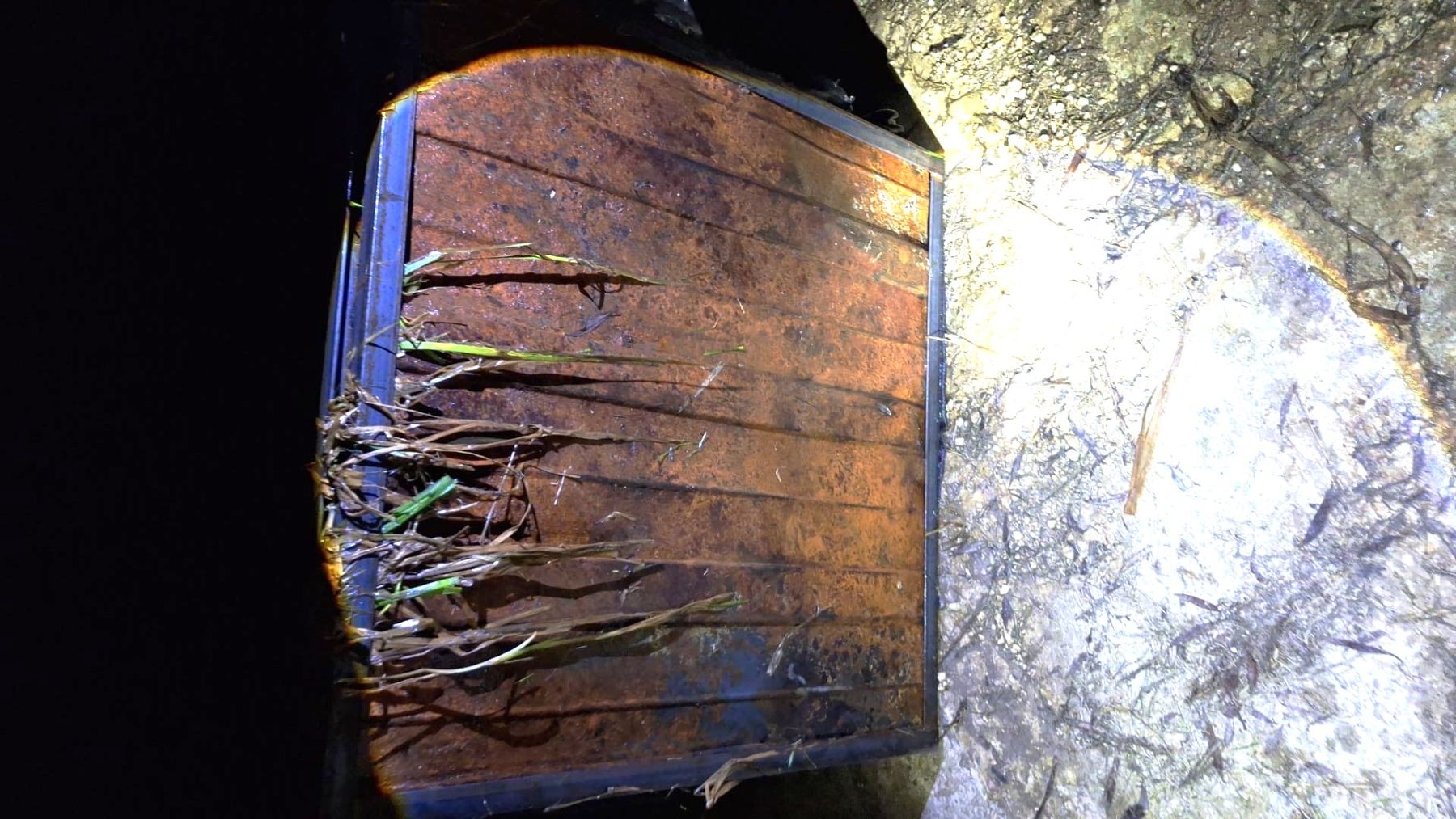 plot drusk litva 18 12 01