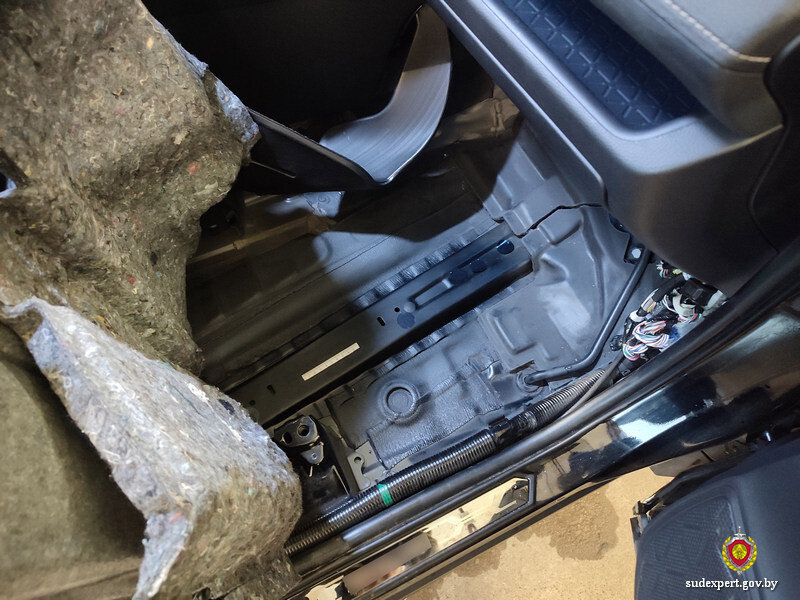 vin mogiljov experty 01