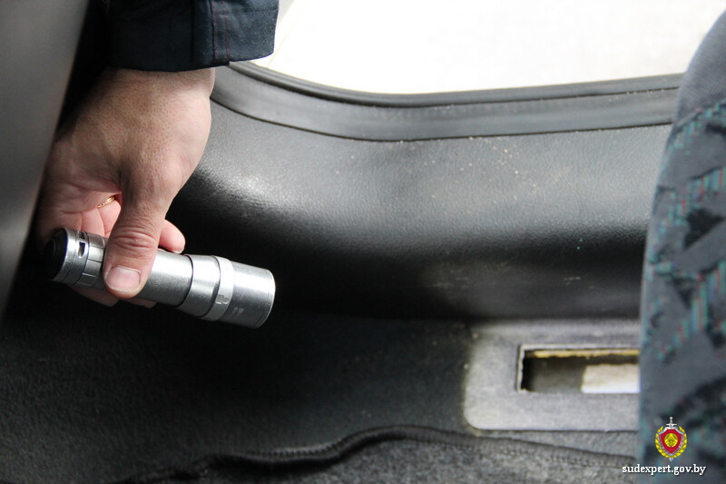 vin mogiljov experty 01