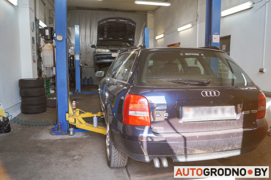 DMS Master Grodno 04