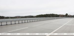 Какие задачи стоят перед дорожной отраслью в этом году? Рассказали в Минтрансе