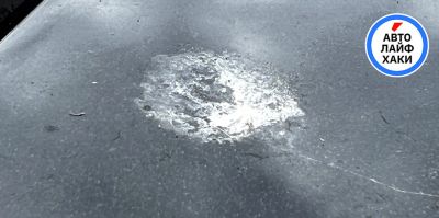 "Птичий помет опасен для краски". Специалист напомнил о типичной проблеме