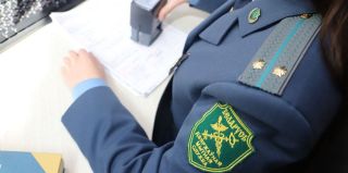 Таможня: решения по товарам для личного пользования принимаются по факту проведения таможенного контроля