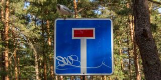 "После продажи машины за нее не отвечаем": как быть с хитрыми пунктами договора