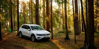 Ограничения на посещение лесов введены в пяти областях Беларуси. В Гродненской – в том числе