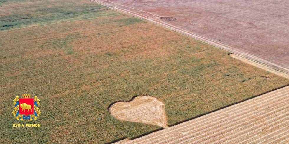 "С любовью к Беларуси": в полях возле Дятлово трактористы создали 100-метровое сердце