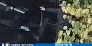 Камера засняла, как мужчина ломал ногой чужой автомобиль в Гродно