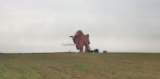 Гигантский зубр на трассе М1 теперь не только может подмигнуть, приветствуя гостей, но и выпустить пар. Что еще в планах?