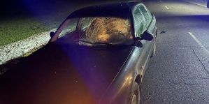 Мужчина шел по центру дороги и оказался под колесами AUDI. Происшествие под Вороново