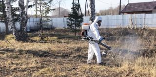 В Гродно начинается обработка зон отдыха от клещей. В течение 3-х дней после нее в этих местах лучше не гулять