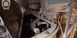 Трагедия под Волковыском: работник погиб во время ремонта бетоносмесителя