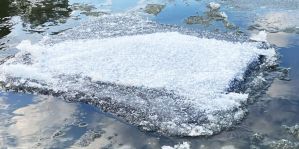 Две льдины с сигаретами выловили литовские пограничники из Немана с разницей в полчаса. Контрабандисты очень постарались