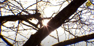 Борьба между холодом и теплом – прогноз погоды на неделю. Какой будет весна?