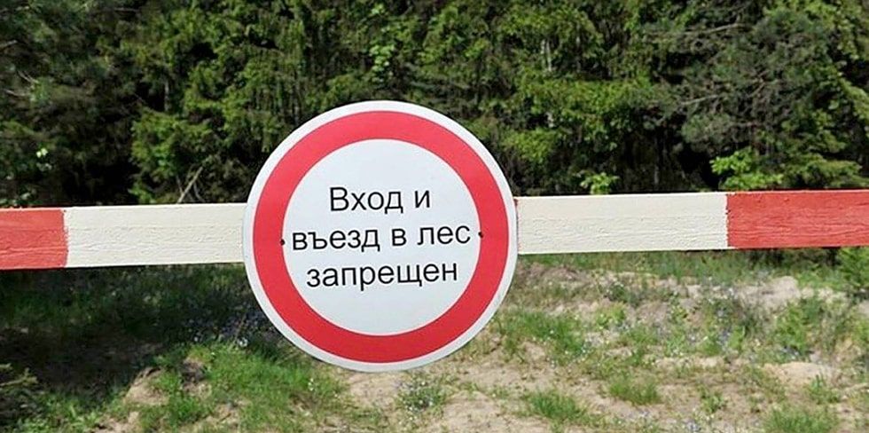 Почти по всей Гродненской области посещение лесов строго запрещено