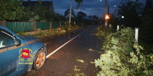 На водохранилище в Зельве отдыхала семья. Поднялся ветер, деревья начали падать – одно из них придавило женщину. Что еще натворила непогода?