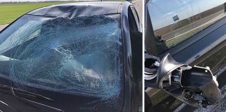 Число ДТП с дикими животными не становится меньше. Самое страшное – увеличивается число людей, пострадавших в таких ДТП