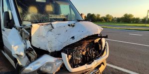 Будьте осторожнее на дорогах по утрам. Только сегодня – 2 ДТП с животными