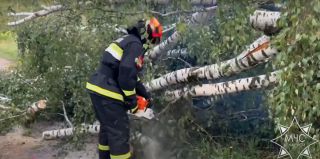 Гроза 10 августа в Гродненской области. Последствия